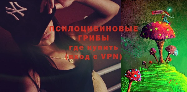 бутират Горняк