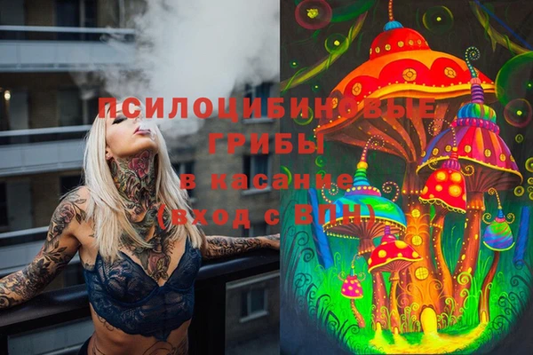 метадон Горнозаводск