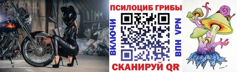 блэк спрут зеркало Отрадный Псилоцибиновые грибы мухоморы