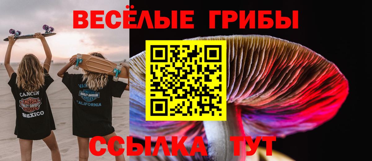 Галлюциногенные грибы ЛСД  Псилоцибиновые грибы Psilocybine cubensis  Вход с VPN  где купить наркоту  Отрадный 